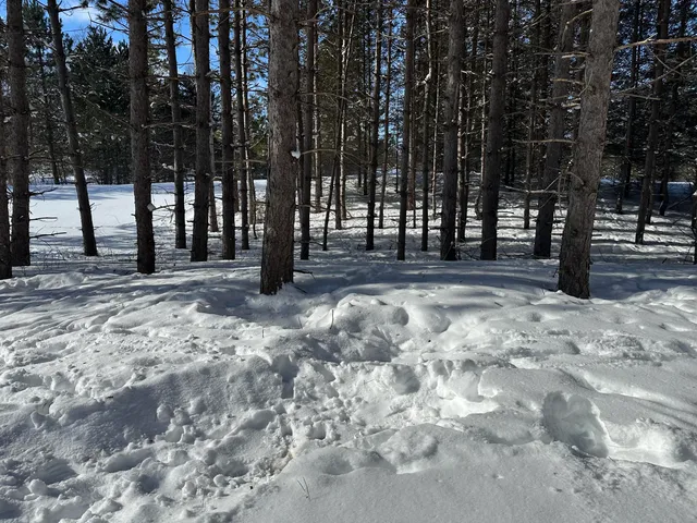 $144,900 | 0 East 24 Road, Cadillac, MI 49601