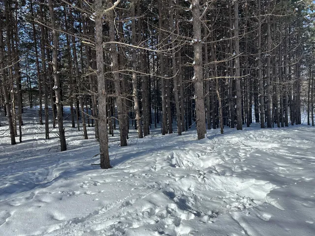 $144,900 | 0 East 24 Road, Cadillac, MI 49601