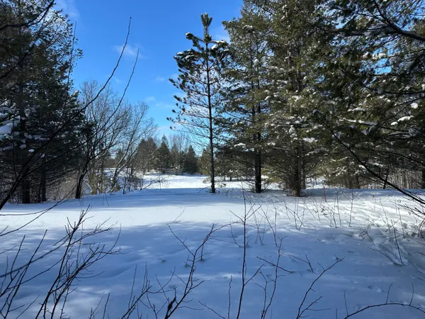 $141,500 | 0 East 24 Road, Cadillac, MI 49601