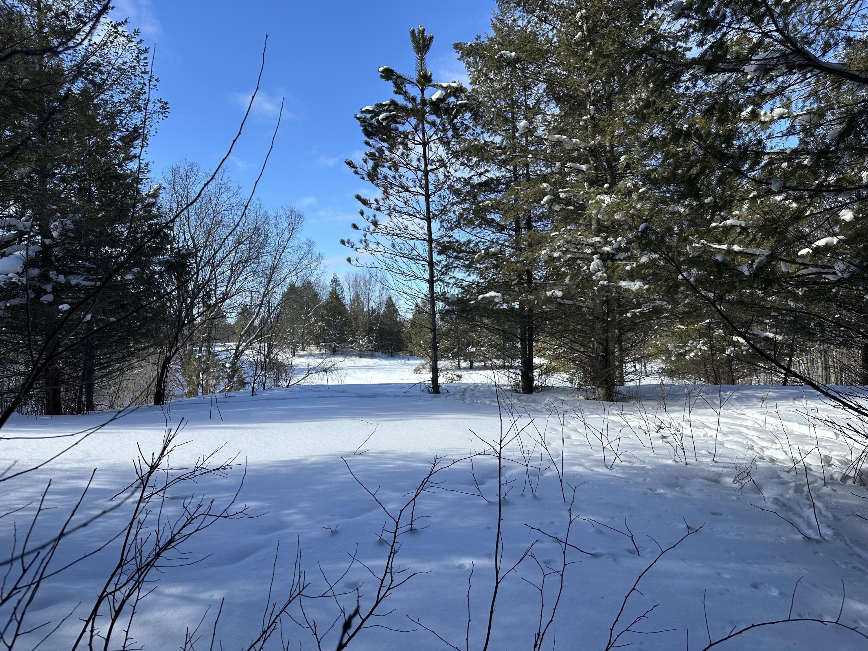 0 East 24 Road Cadillac, MI 49601 - Photo 13 of 15 IMG_8083