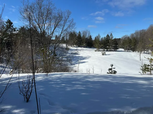 $144,900 | 0 East 24 Road, Cadillac, MI 49601