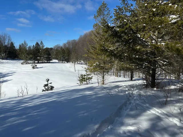 $144,900 | 0 East 24 Road, Cadillac, MI 49601