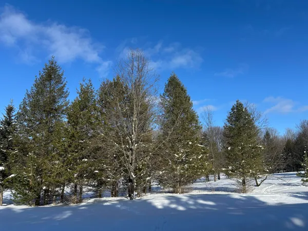 $141,500 | 0 East 24 Road, Cadillac, MI 49601