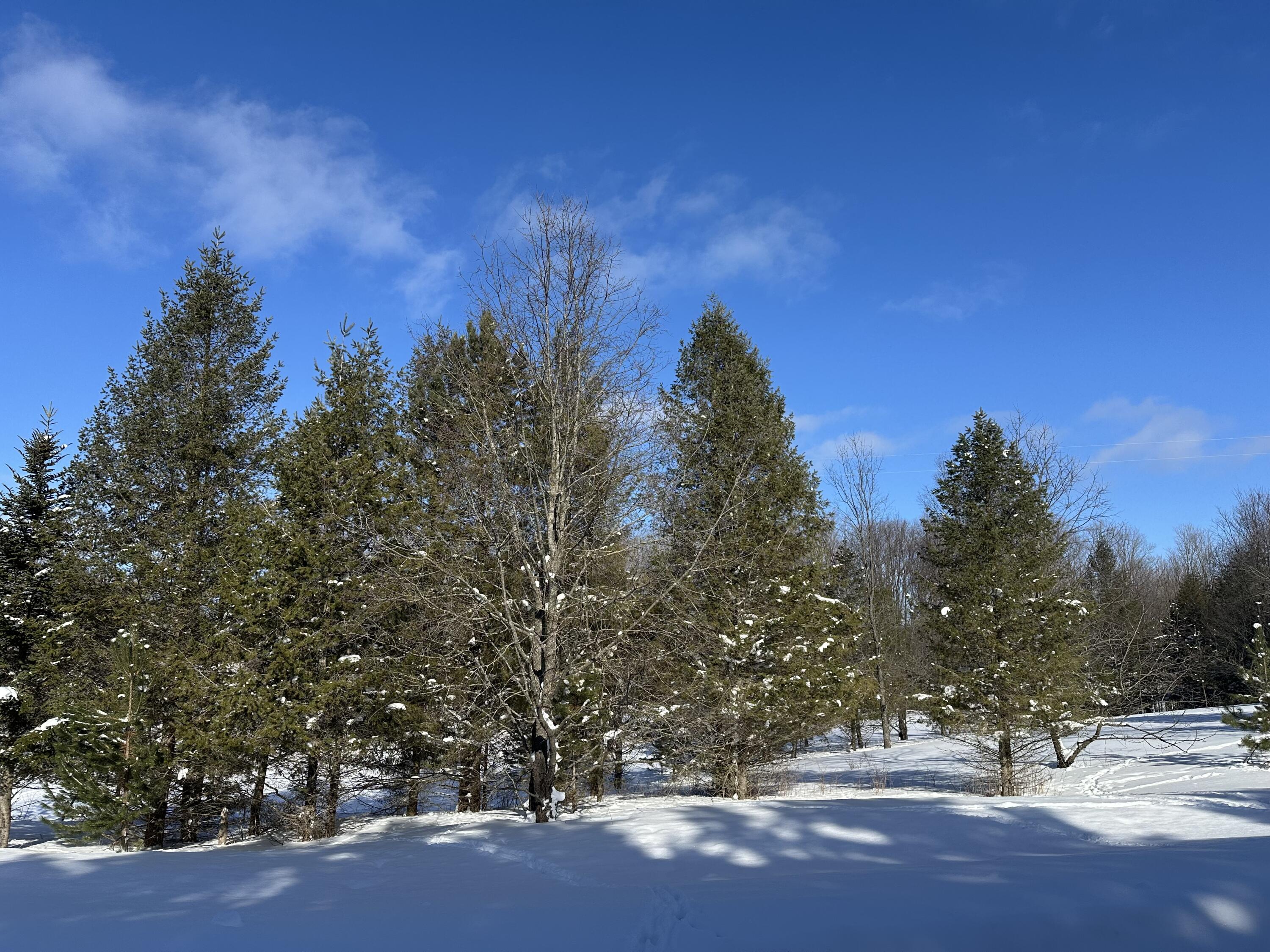 0 East 24 Road Cadillac, MI 49601 - Photo 2 of 15 IMG_8071