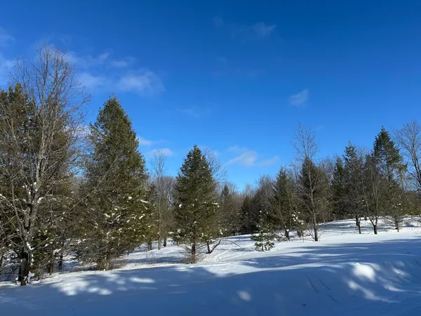 $141,500 | 0 East 24 Road, Cadillac, MI 49601