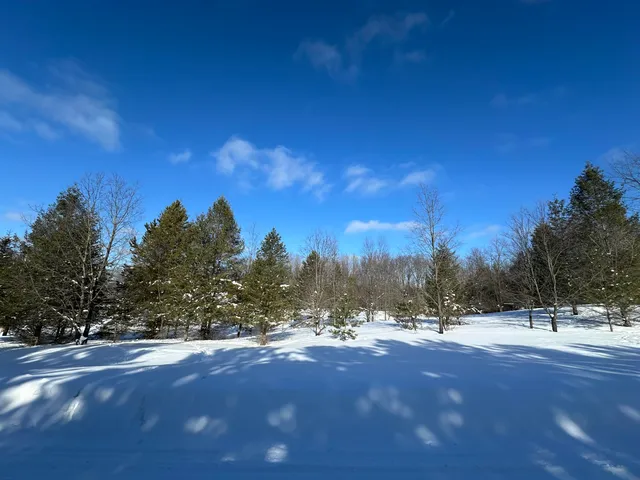 $144,900 | 0 East 24 Road, Cadillac, MI 49601