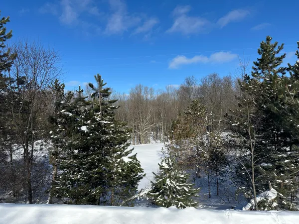 $141,500 | 0 East 24 Road, Cadillac, MI 49601