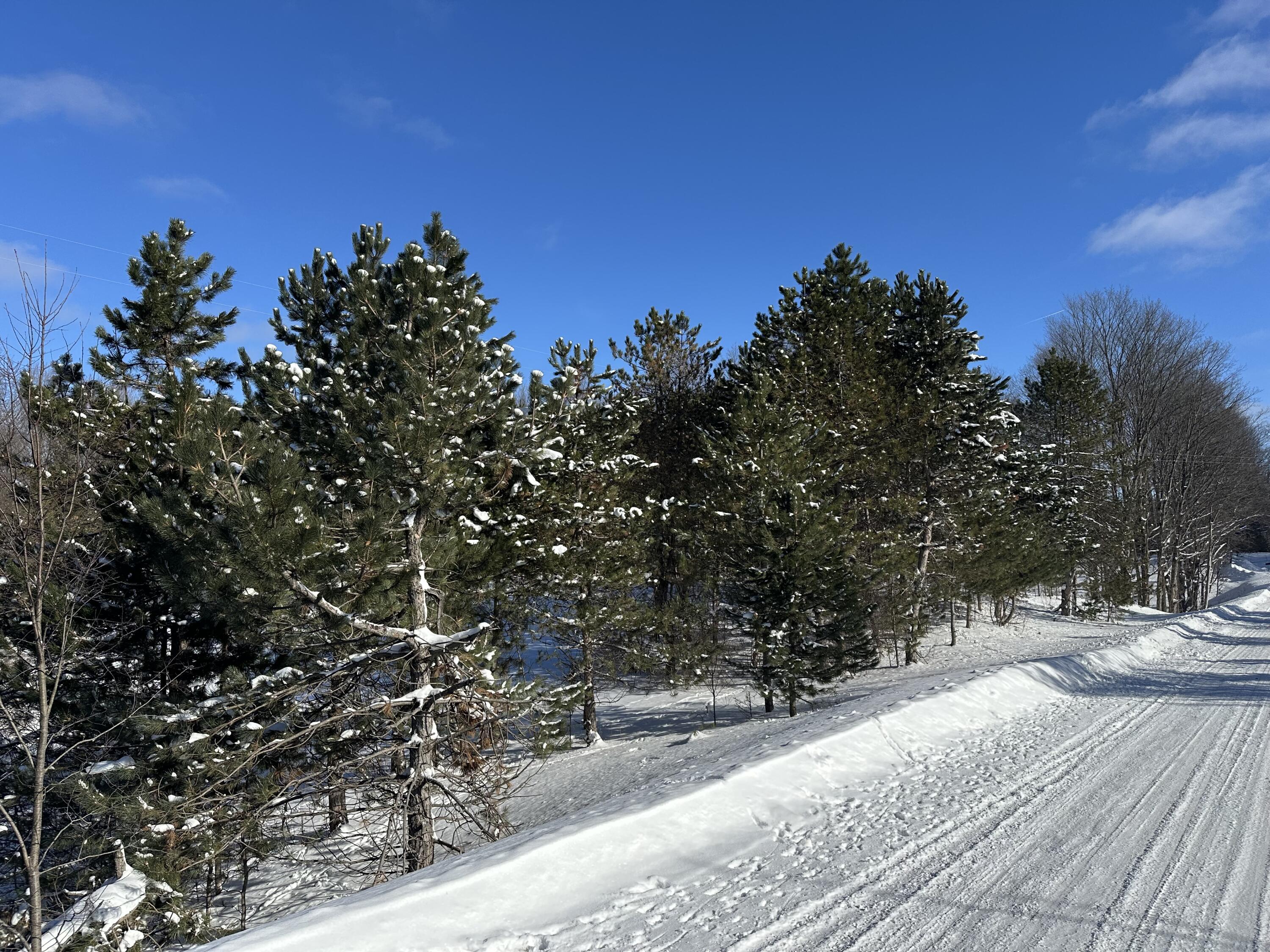 0 East 24 Road Cadillac, MI 49601 - Photo 6 of 15 IMG_8075