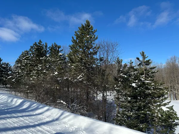 $141,500 | 0 East 24 Road, Cadillac, MI 49601