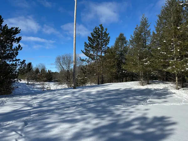 $141,500 | 0 East 24 Road, Cadillac, MI 49601