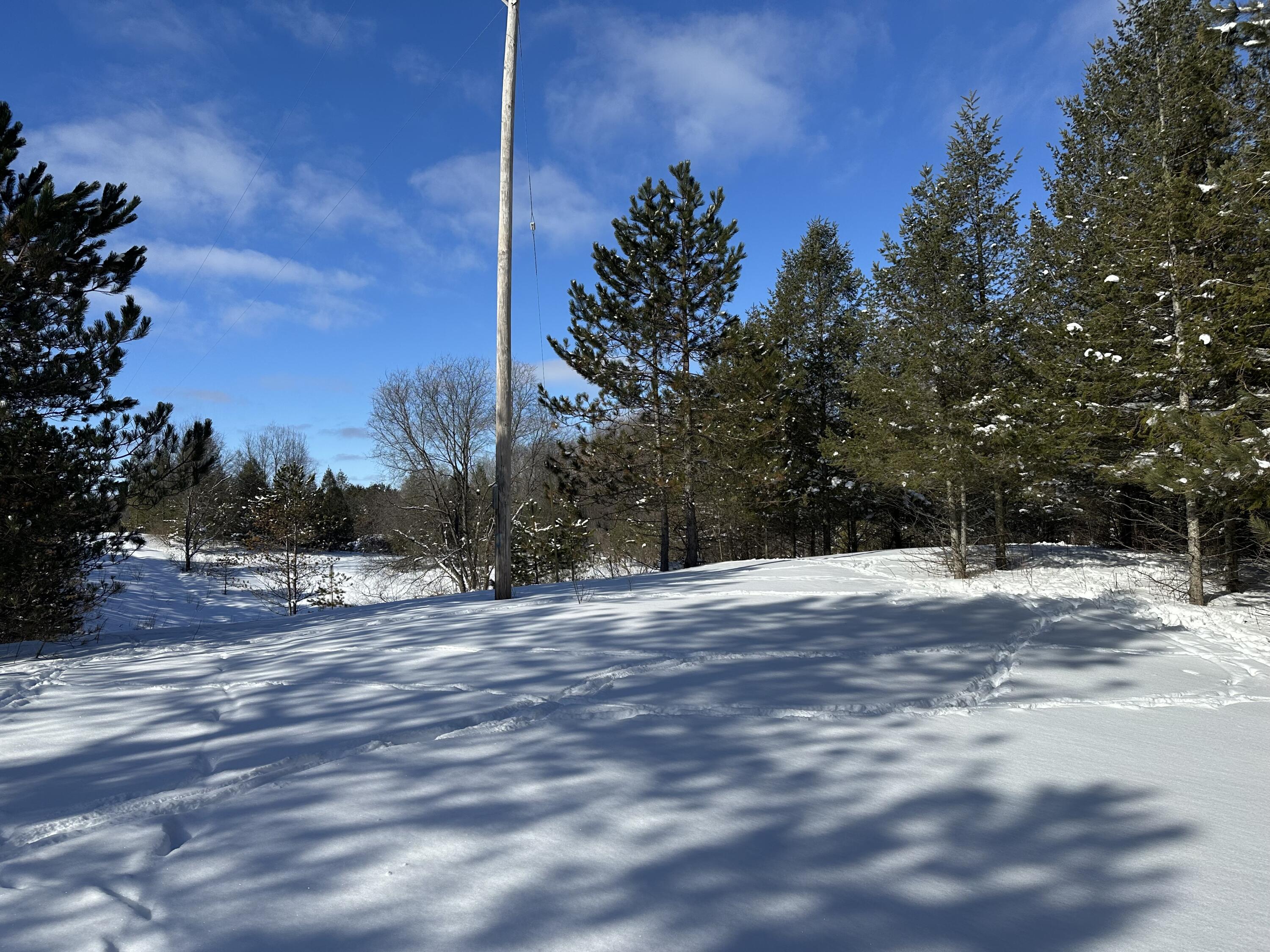 0 East 24 Road Cadillac, MI 49601 - Photo 8 of 15 IMG_8078