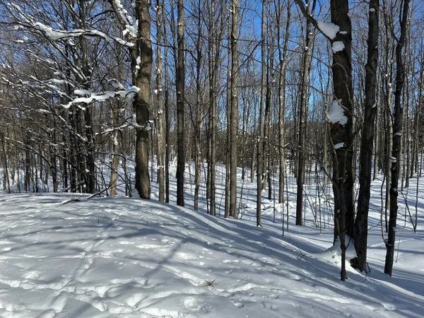 $141,500 | 0 East 24 Road, Cadillac, MI 49601