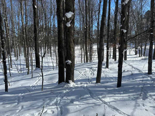 $141,500 | 0 East 24 Road, Cadillac, MI 49601