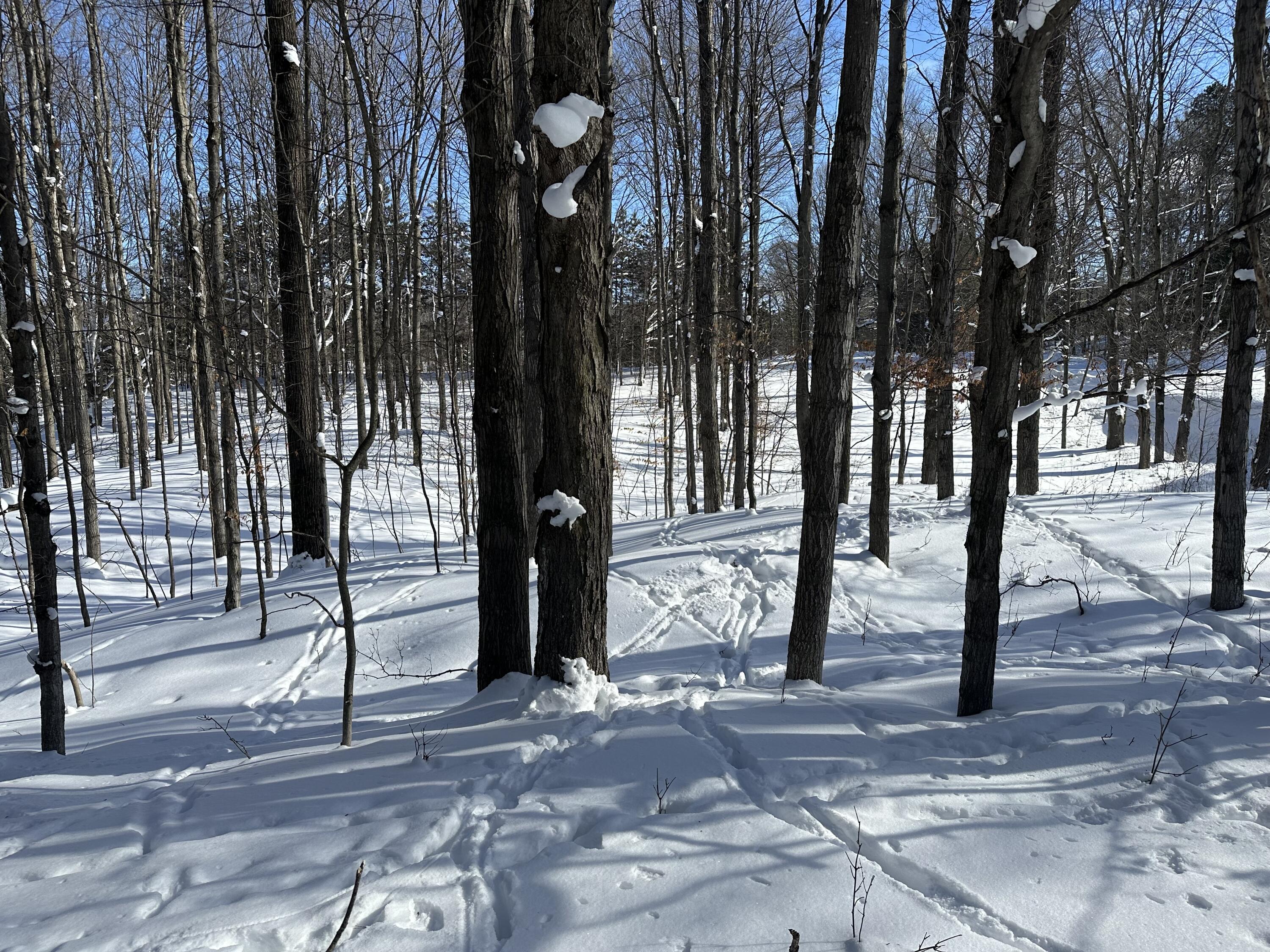 0 East 24 Road Cadillac, MI 49601 - Photo 10 of 15 IMG_8080