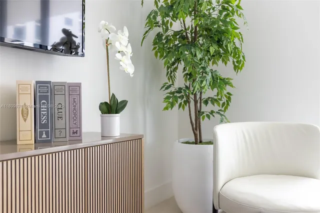 a living room with furniture and a potted plant