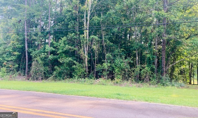 Lot 34 Twilight Shores Road Eatonton, GA 31024 - Photo 3 of 8