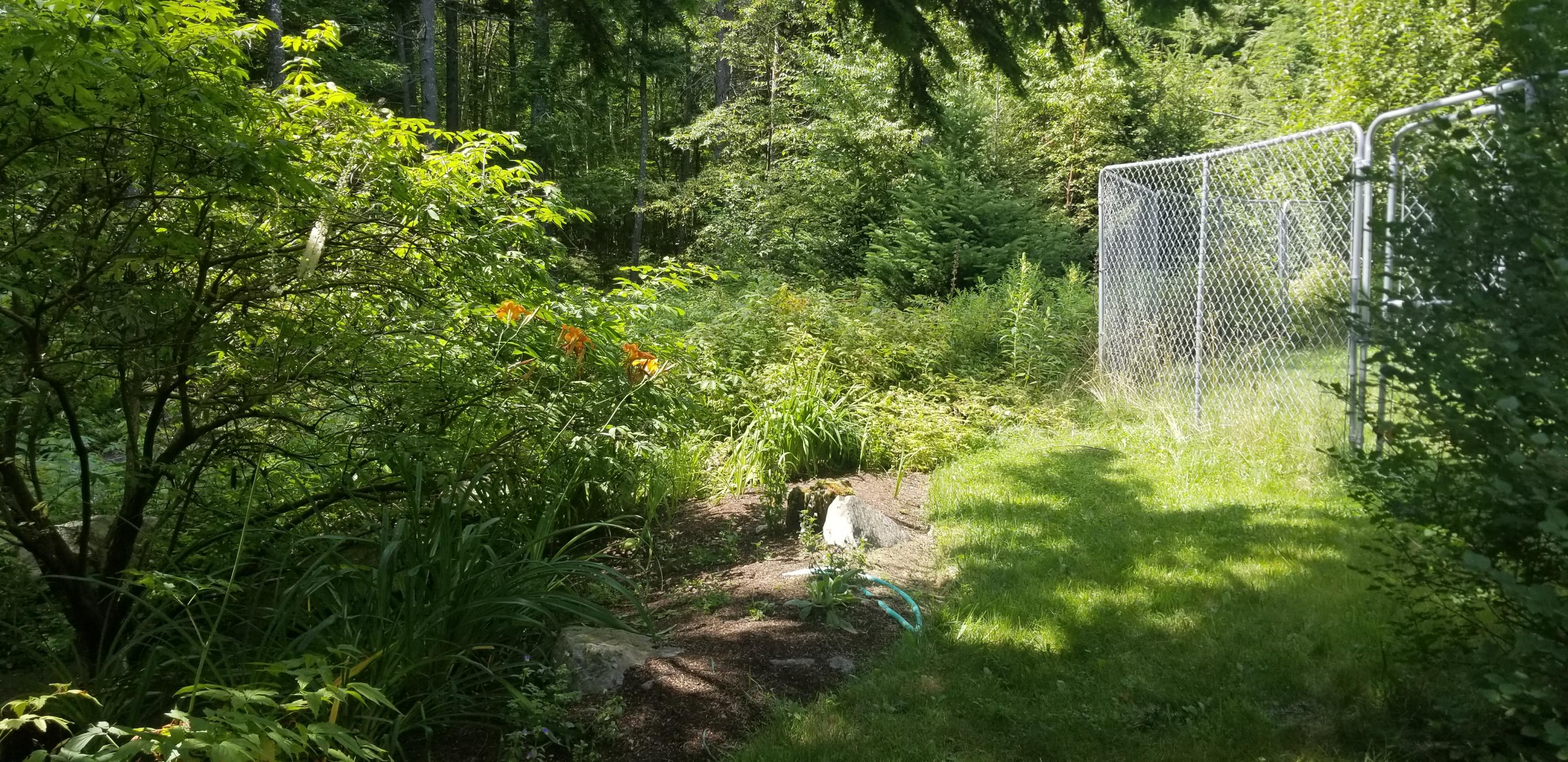 246-250 Camp Road Cooper, ME 04657 - Photo 41 of 59 20200801_142754