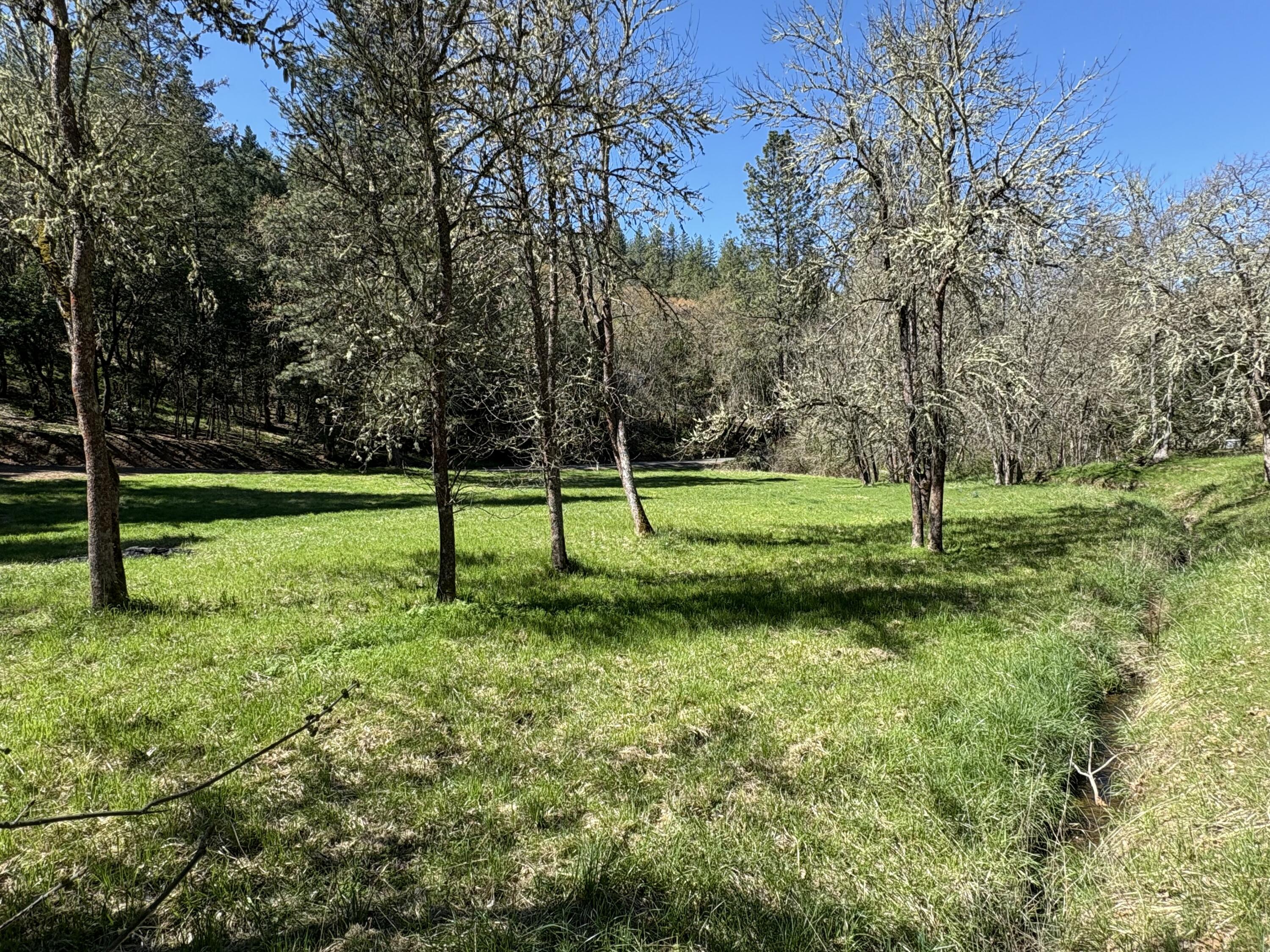 1237 Daisy Creek Road Jacksonville, OR 97530 - Photo 11 of 31 IMG_1397