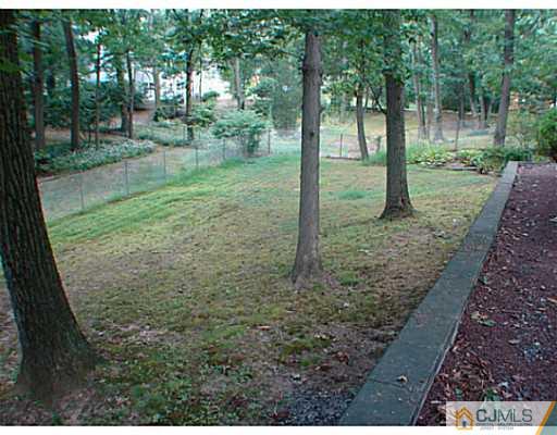 266 Hamlin Road North Brunswick, NJ 08902 - Photo 16 of 17 a view of a forest with a tree