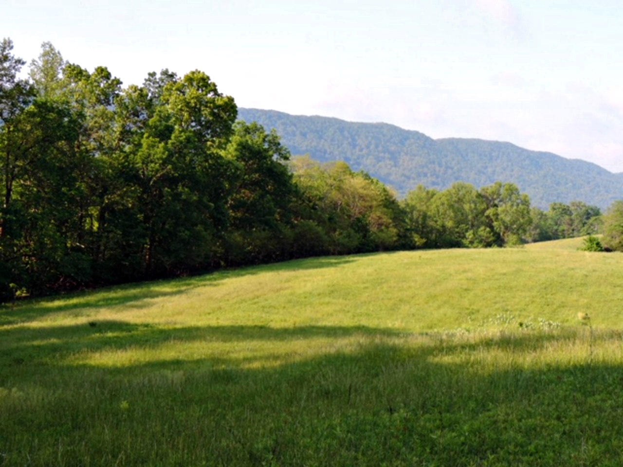 2575 Rackum Road Thorn Hill, TN 37881 - Photo 7 of 34 Gallery Image 7