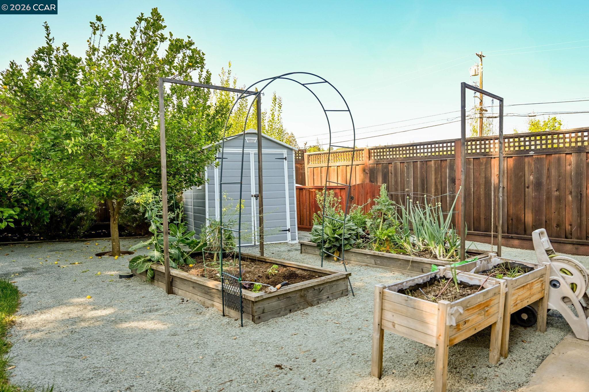 3782 Hitchcock Road Concord, CA 94518 - Photo 25 of 30 raised planter beds and storage sheds - gate opens to the extended driveway - easy to bring in all your yard toys!