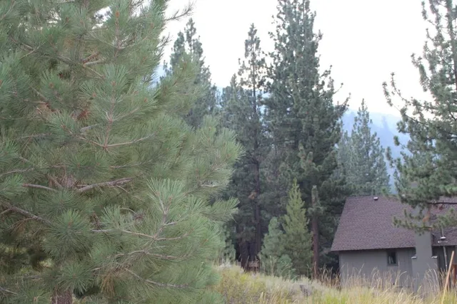 a aerial view of a house