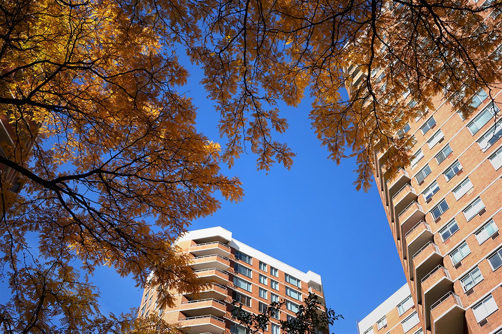 484 2nd Avenue, Unit 18A Manhattan, NY 10016 - Photo 10 of 11