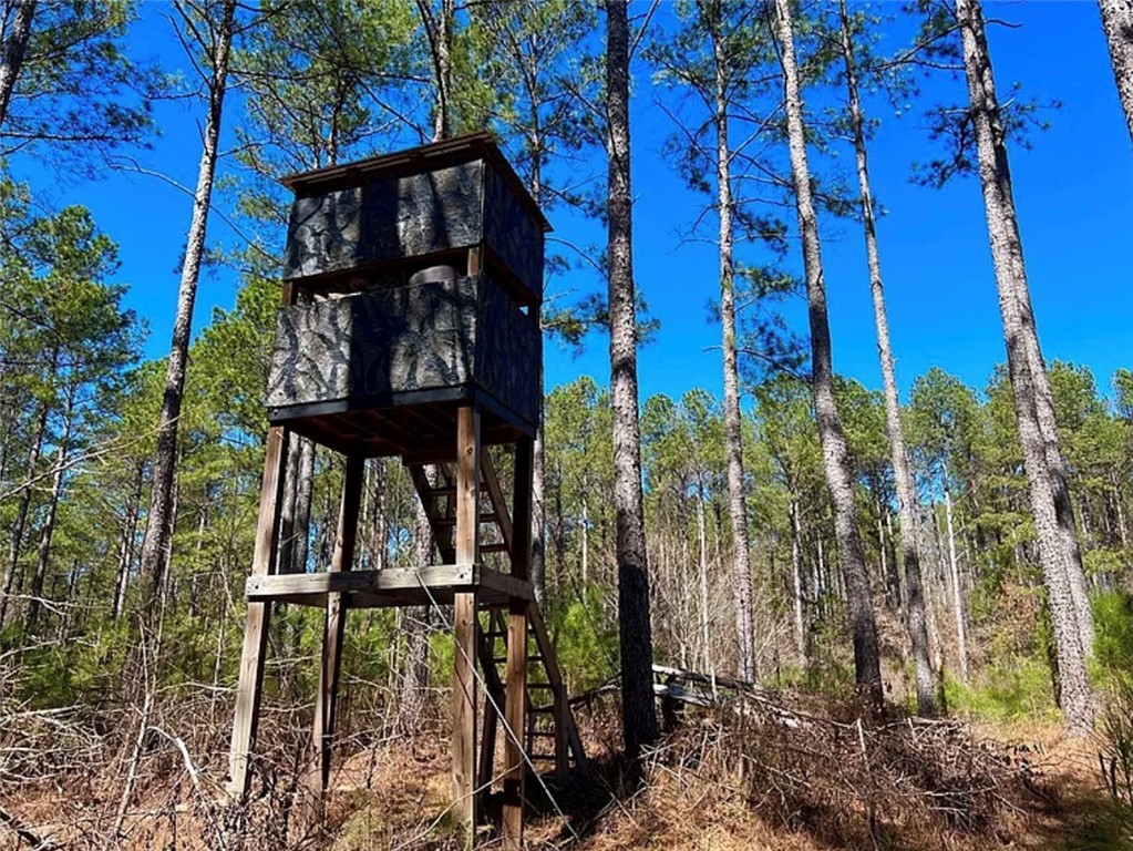 1 State Rd S-4-555 Iva, SC 29655 - Photo 12 of 27 This property features a unique structure, nestled amidst tall, majestic trees and lush vegetation.