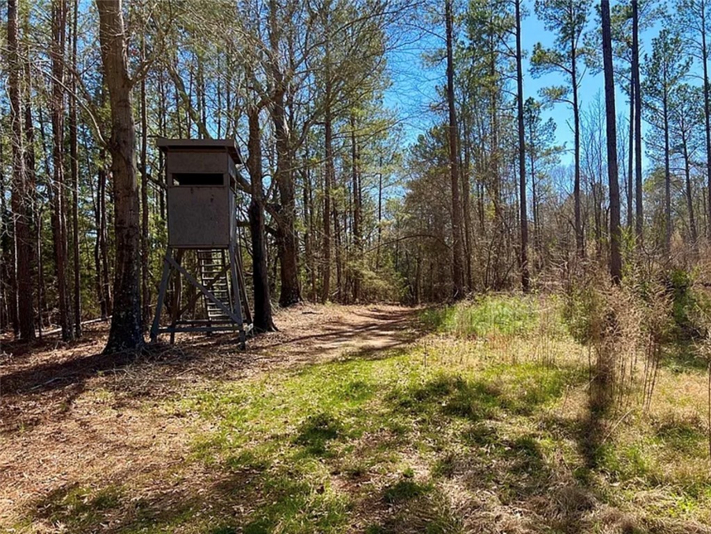 1 State Rd S-4-555 Iva, SC 29655 - Photo 14 of 27 Explore the expansive wooded grounds with a tranquil path winding through lush natural surroundings.