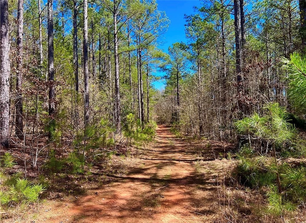 1 State Rd S-4-555 Iva, SC 29655 - Photo 17 of 27 A tranquil path winds through a lush forest, offering serene views.