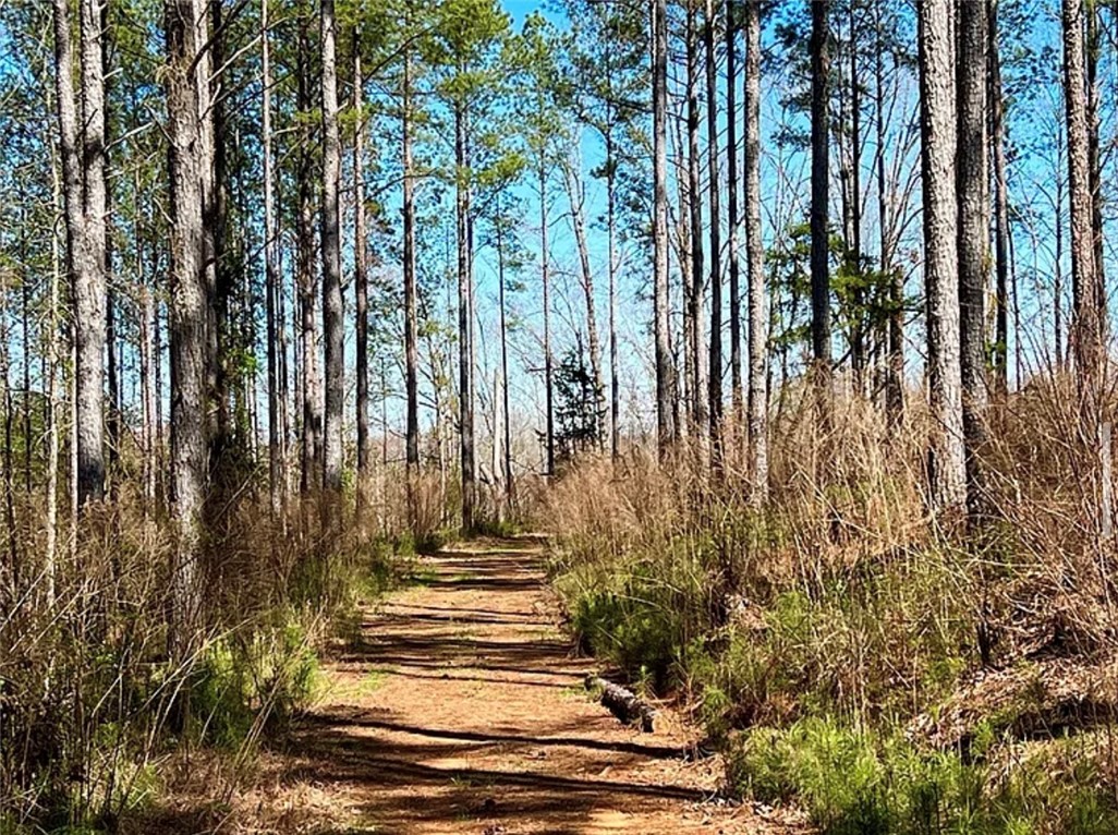 1 State Rd S-4-555 Iva, SC 29655 - Photo 18 of 27 A tranquil path winds through a peaceful forest, offering an escape into nature's embrace.