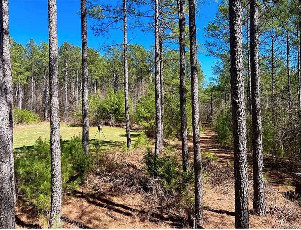 1 State Rd S-4-555 Iva, SC 29655 - Photo 19 of 27 A tranquil wooded lot offers a private setting amidst natural beauty and open spaces.