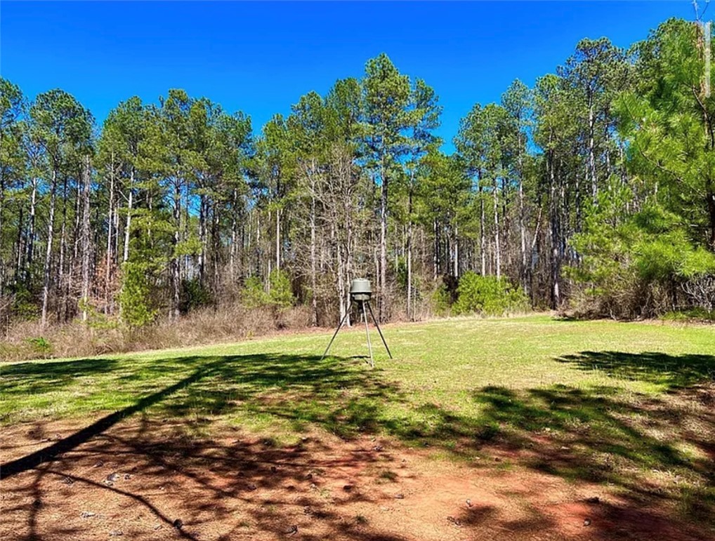 1 State Rd S-4-555 Iva, SC 29655 - Photo 20 of 27 Expansive green spaces lead to a lush forest under a brilliant blue sky.