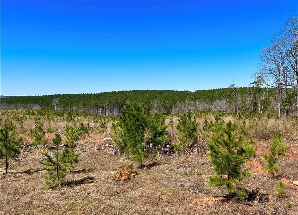 1 State Rd S-4-555 Iva, SC 29655 - Photo 22 of 27 Expansive natural landscape with verdant trees under a clear, bright sky.