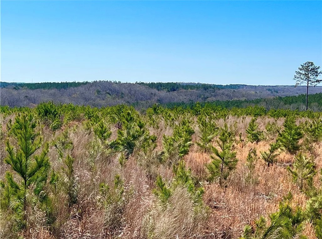 1 State Rd S-4-555 Iva, SC 29655 - Photo 8 of 27 Expansive acreage provides a natural canvas for diverse opportunities.