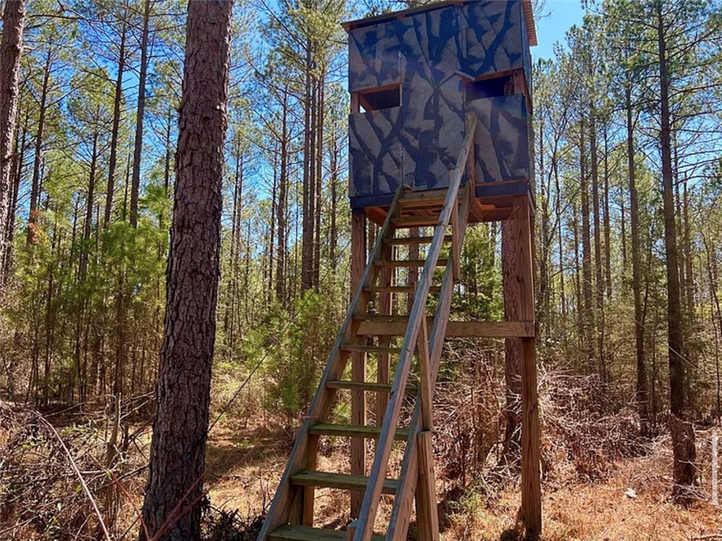 1 State Rd S-4-555 Iva, SC 29655 - Photo 9 of 27 This elevated structure offers a unique perspective amidst the natural surroundings.