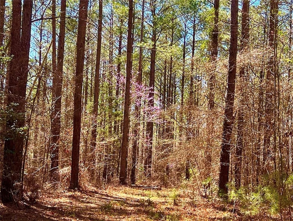 1 State Rd S-4-555 Iva, SC 29655 - Photo 10 of 27 This tranquil wooded lot offers a peaceful retreat for your future home.