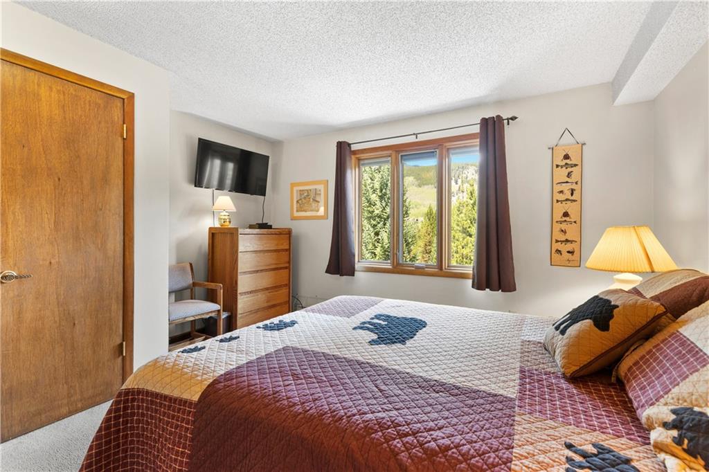 1493 East Keystone Road, Unit 21 Keystone, CO 80435 - Photo 13 of 30 Gallery Image 13