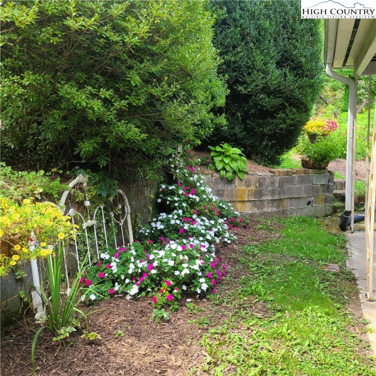 585 George's Gap Road Vilas, NC 28692 - Photo 40 of 50 Gallery Image 40