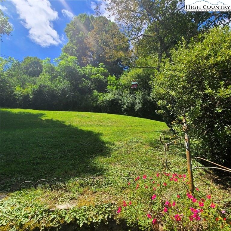 585 George's Gap Road Vilas, NC 28692 - Photo 42 of 50 Gallery Image 42