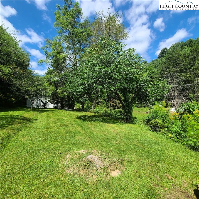 585 George's Gap Road Vilas, NC 28692 - Photo 43 of 50 Gallery Image 43