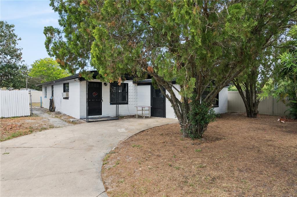 a large tree in front of a house