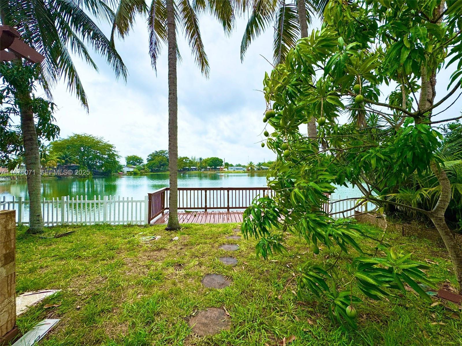 232 Southwest 7th Avenue Hallandale Beach, FL 33009 - Photo 25 of 48 a view of a lake with a palm trees