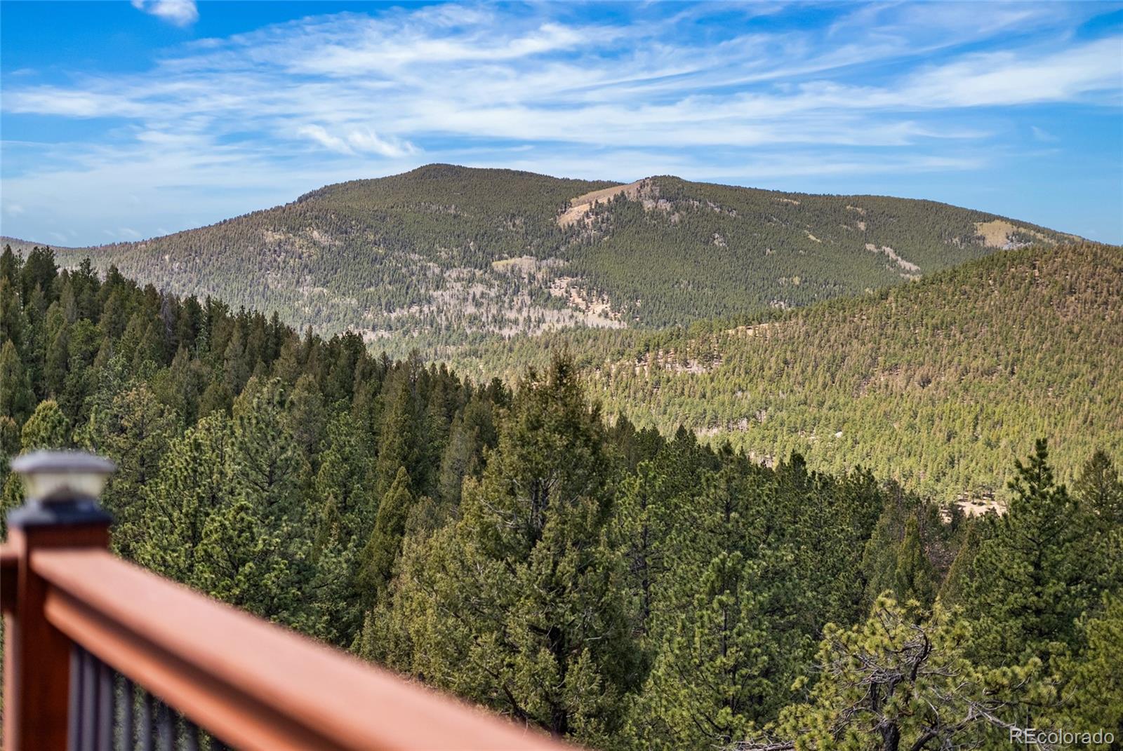 461 Hitchrack Road Bailey, CO 80421 - Photo 37 of 48