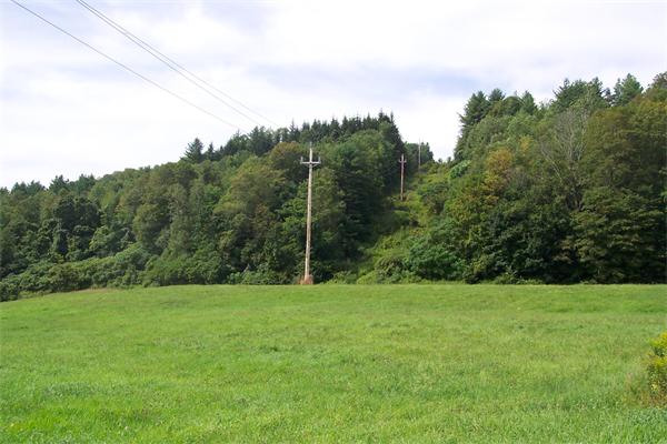 a view of a grassy field with trees in the background