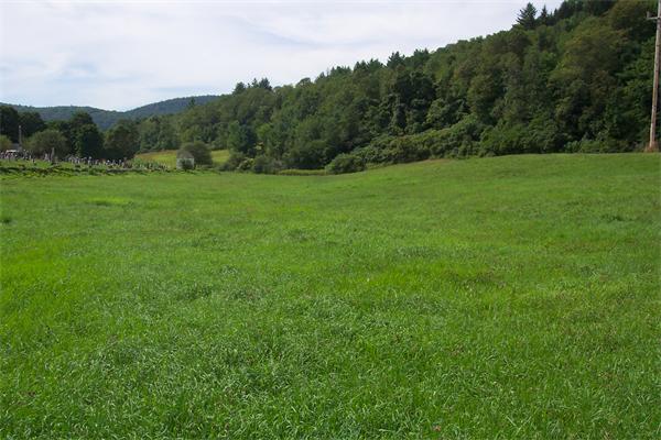 0 Jacksonville Road Colrain, MA 01340 - Photo 2 of 7 a view of grassy field with trees in the background
