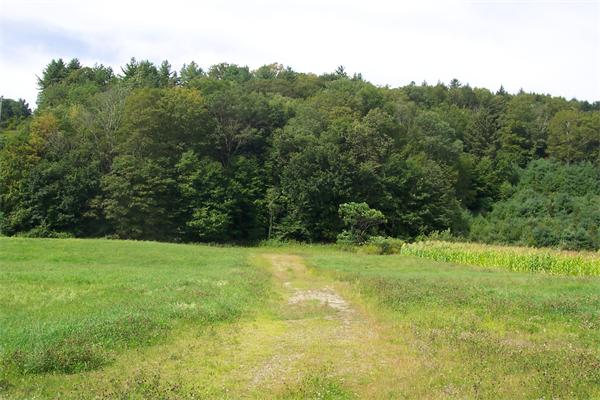 0 Jacksonville Road Colrain, MA 01340 - Photo 5 of 7 a view of a yard with a tree