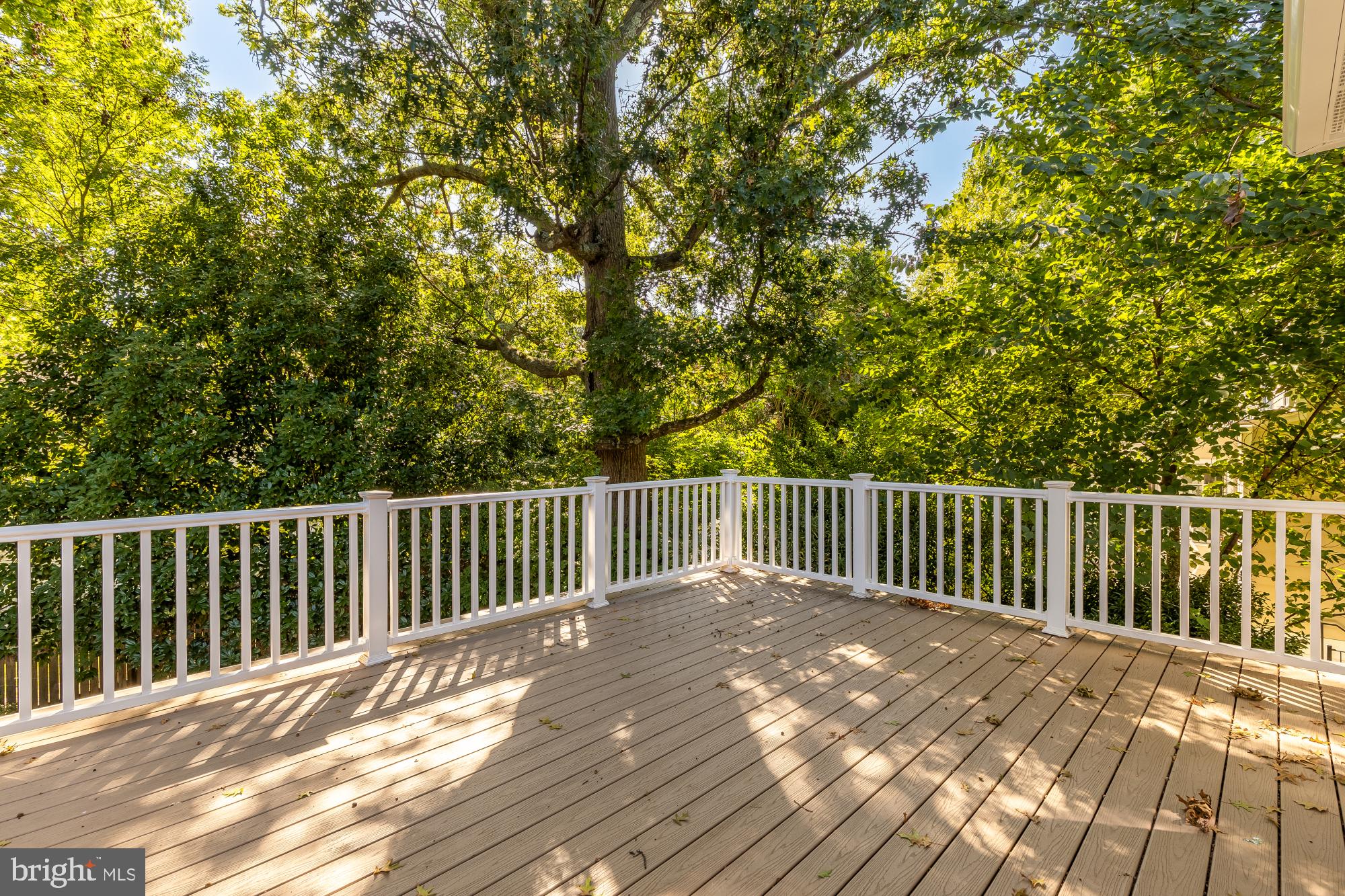 4308 Chestnut Street Bethesda, MD 20814 - Photo 36 of 60 Gallery Image 36