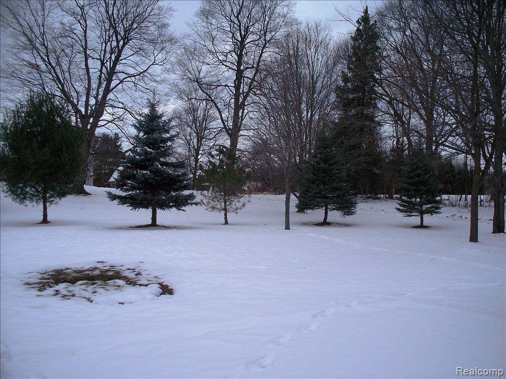 1054 West Livingston Road Highland, MI 48357 - Photo 6 of 25 Backyard