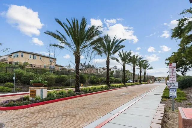 a view of a park with palm trees